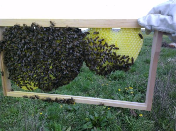 Teilausgebauter Drohnenrahmen