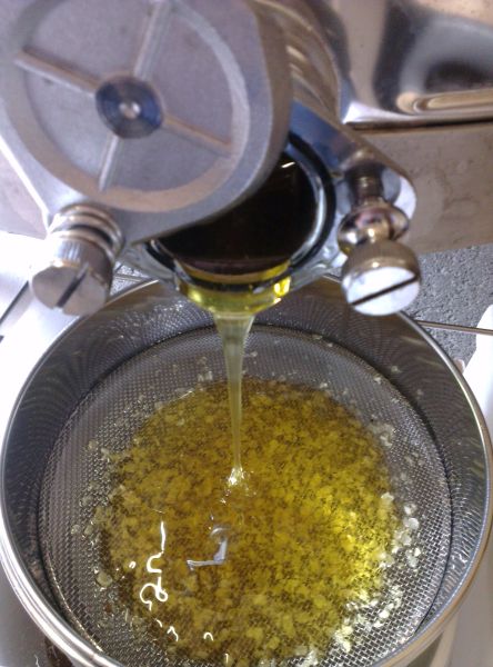 Honig fließt aus der Schleuder