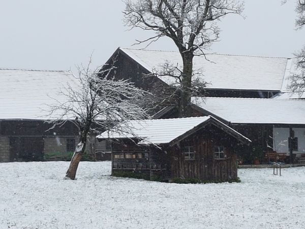 Bienenhaus im Schnee
