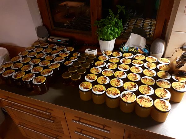 Honiggläser abfüllen